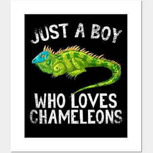 Just A Boy Who Loves Chameleons Posters and Art